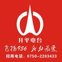 开平广播电台飞扬956 LOGO