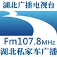 湖北交通廣播 LOGO