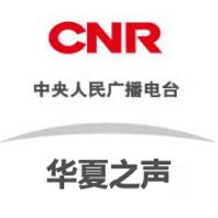 大灣區之聲 LOGO