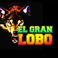 El Gran Lobo LOGO El Gran Lobo LOGO