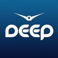 Рекорд Deep LOGO Рекорд Deep LOGO