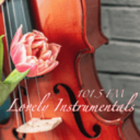 Lovely Instrumentals 101.5 FM LOGO Lovely Instrumentals 101.5 FM LOGO