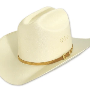 Classic Country 1630 LOGO Classic Country 1630 LOGO