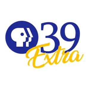 PBS 39 Extra Philadelphia PA (WPPT) LOGO