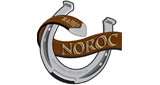 Radio Noroc LOGO