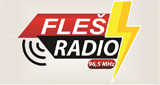 Fleš Radio 96,5 MHz LOGO