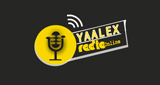 Yaalex Radio LOGO