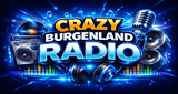 Music And Fun LOGO