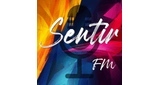 Sentir FM LOGO