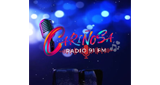 Cariñosa 91 FM Radio LOGO