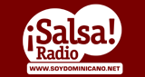 Radio Salsa LOGO