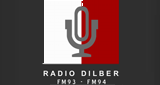 Radio Dilber Swabi LOGO