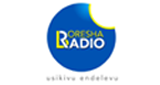Boresha Radio LOGO
