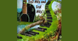 Soft Hits and Lost Hits LOGO