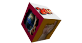 WDCJDupont Internet Radio LOGO