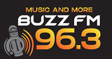96 Buzz FM LOGO