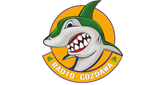 Radio Gozdawa LOGO