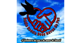 Radio Suécia Boas Novas De Paz LOGO
