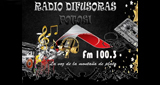 Radio Difusoras Potosi LOGO