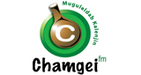 Chamgei FM LOGO