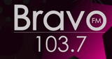 Radio Bravo FM LOGO