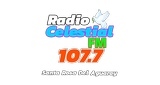 Radio Celestial FM LOGO