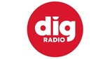 DIG RADIO Sud Vendée LOGO