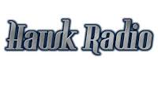 Hawk LOGO