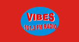 Vibes 101.3 FM LOGO