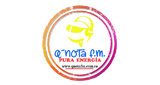 Q Nota FM LOGO