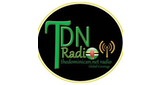 Tdn Radio LOGO