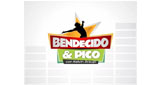 Bendecido y Pico LOGO