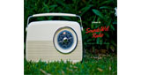 SoundzWel Radio LOGO