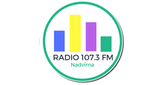 Радіо Надвірна 107.3 Fm LOGO