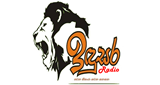 Indusara Radio LOGO