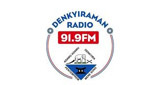 Denkyiraman Radio 91.9 Fm LOGO