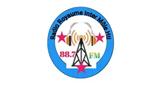 Radio Royaume Inter Mole HTI 88.7 Fm LOGO