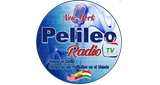 Pelileo Radio Tv LOGO