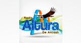 Radio Altura De Ancash LOGO