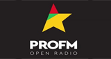 ProFM LOGO