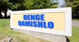 Denge Qamishlo LOGO