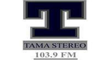 Tama Stereo LOGO