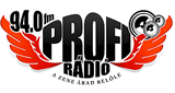 Profi Radio LOGO Profi Radio LOGO