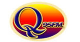 Wice QFM LOGO