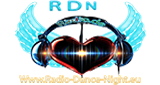 Radio Dance-Night LOGO