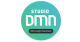 Studio DMN LOGO