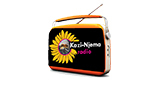 Kazi Njema Radio LOGO