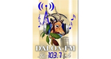 Radio Daloa FM LOGO
