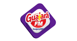 Rádio Cruzeiro Web LOGO