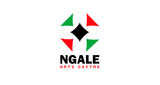 Ngale FM LOGO